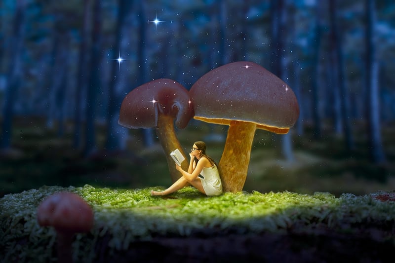 Enchanted ornaments